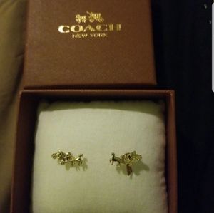 Coach gold earrings